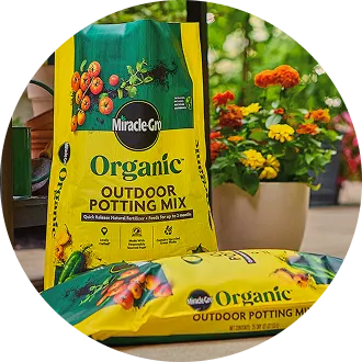 Potting Mix