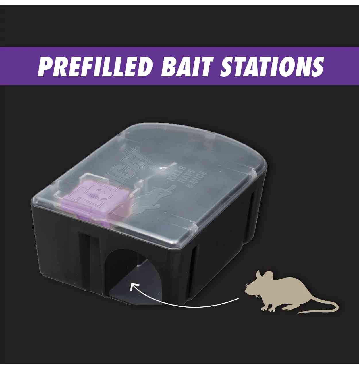 does tobacco kill rats TOMCAT® RAT KILLER BAIT STATION ADVANCED FORMULA - 1CT does tobacco kill rats TOMCAT® RAT KILLER BAIT STATION ADVANCED FORMULA - 1CT