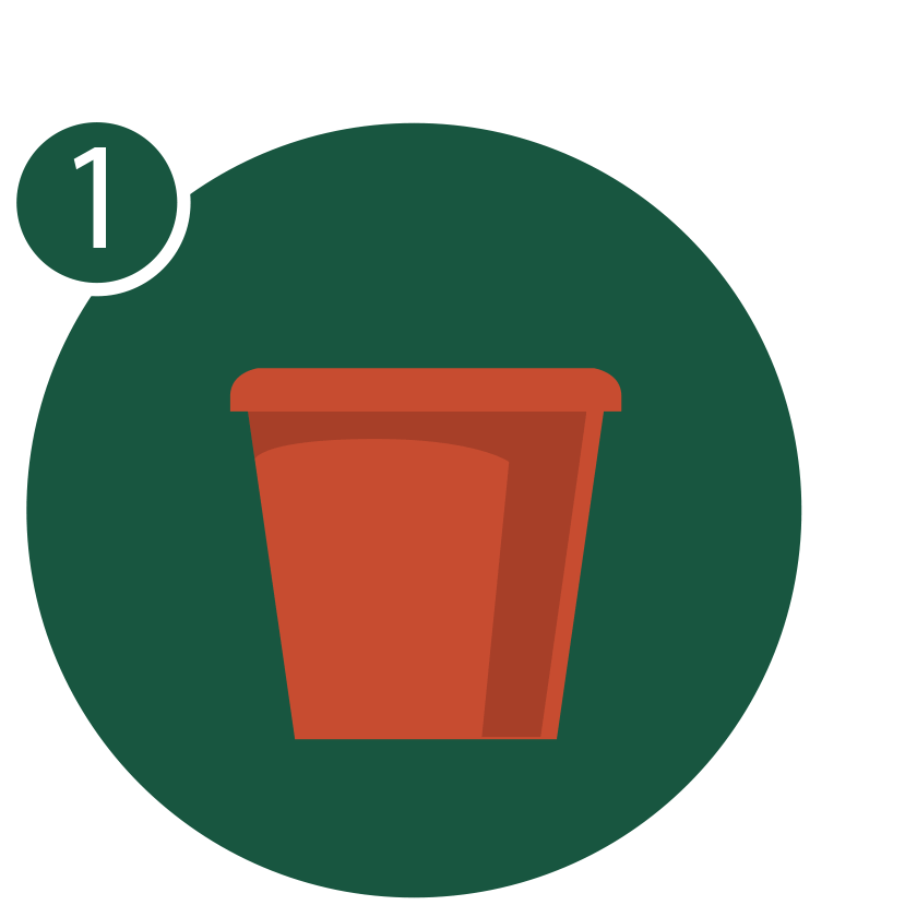 gif of planting transplanting