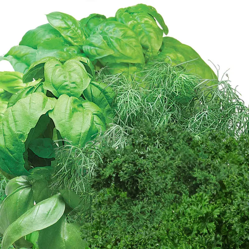 AeroGarden Gourmet Herbs Seed Pod Kit image number 4.0