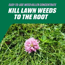Ortho Chickweed, Clover & Oxalis Killer for Lawns Concentrate image number null