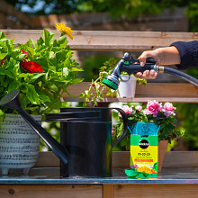 Miracle-Gro&reg; Water Soluble Plant Food 20-20-20 image number null