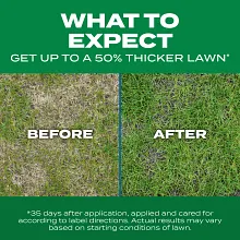 Scotts Turf Builder Thick'r Lawn Sun & Shade image number null