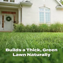 Scotts&reg; Natural Lawn Food image number null