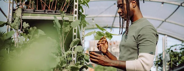 Person tending to a potted plant