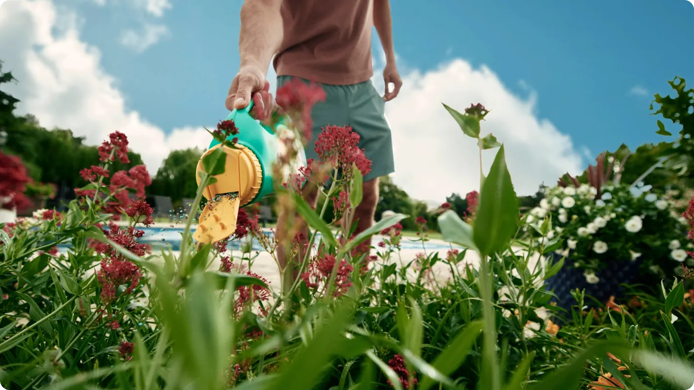 A man using the Miracle-Gro Shake N Feed plant food on a large bed of flowers