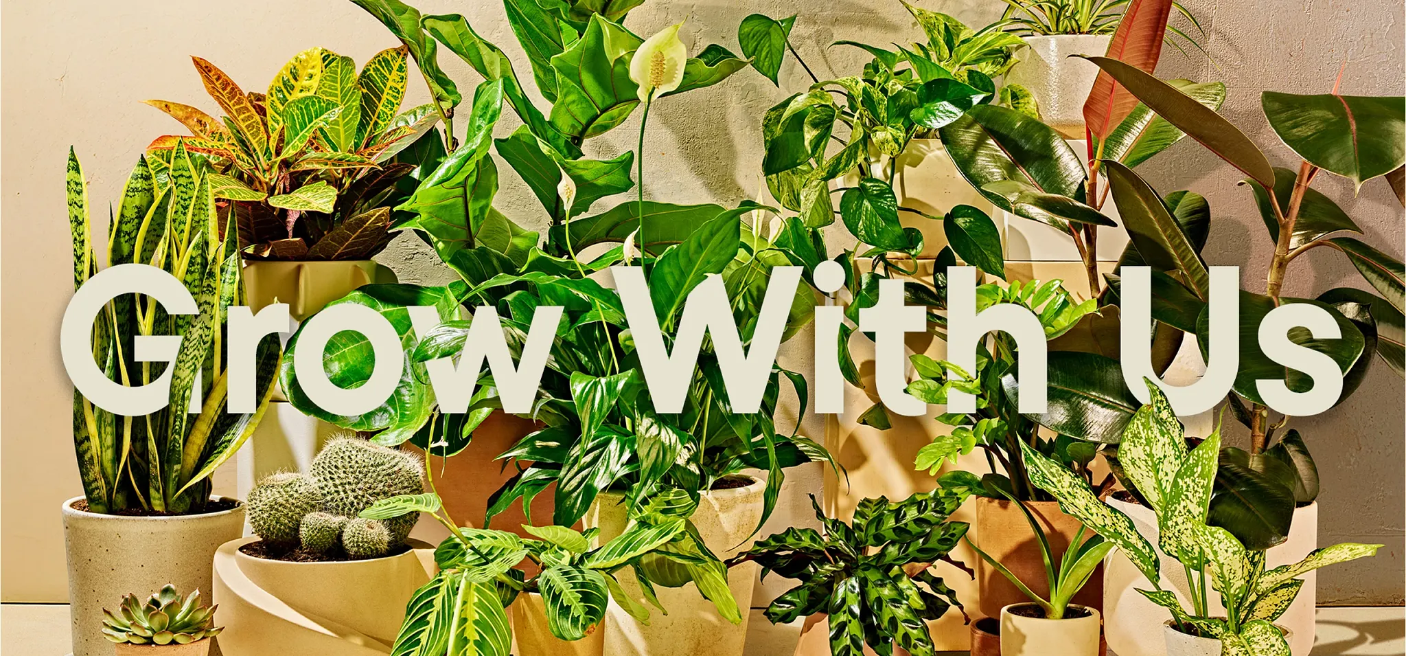 image of a group of potted plants with the words Grow With Us intertwined with the leaves of the plants