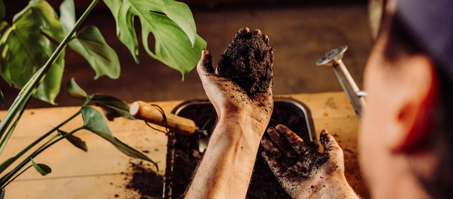 Person with soil in their hands