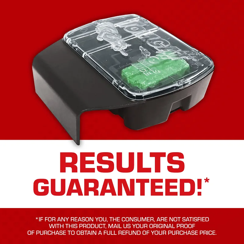 Tomcat&reg; Mouse Killer(e), Child Resistant, Refillable Station image number 2.0