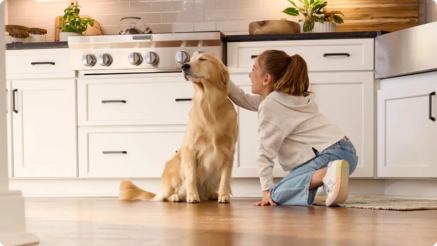 A young girl kneeling on a kitchen floor and petting a golden retriever in a pet-friendly home environment.