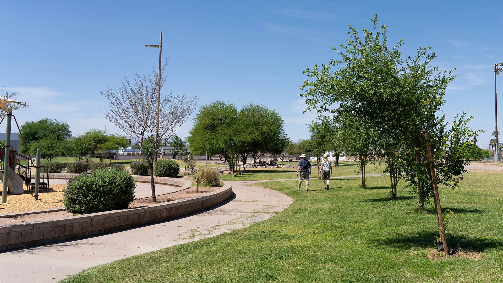 an urban park with grass and trees to cool the area