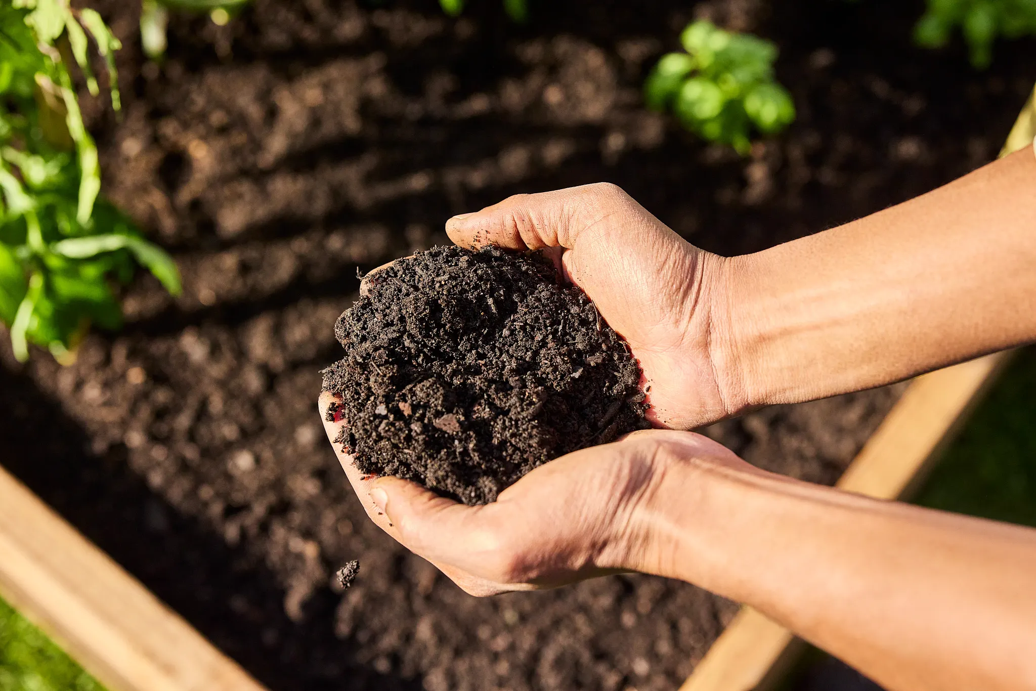 hands holding soil