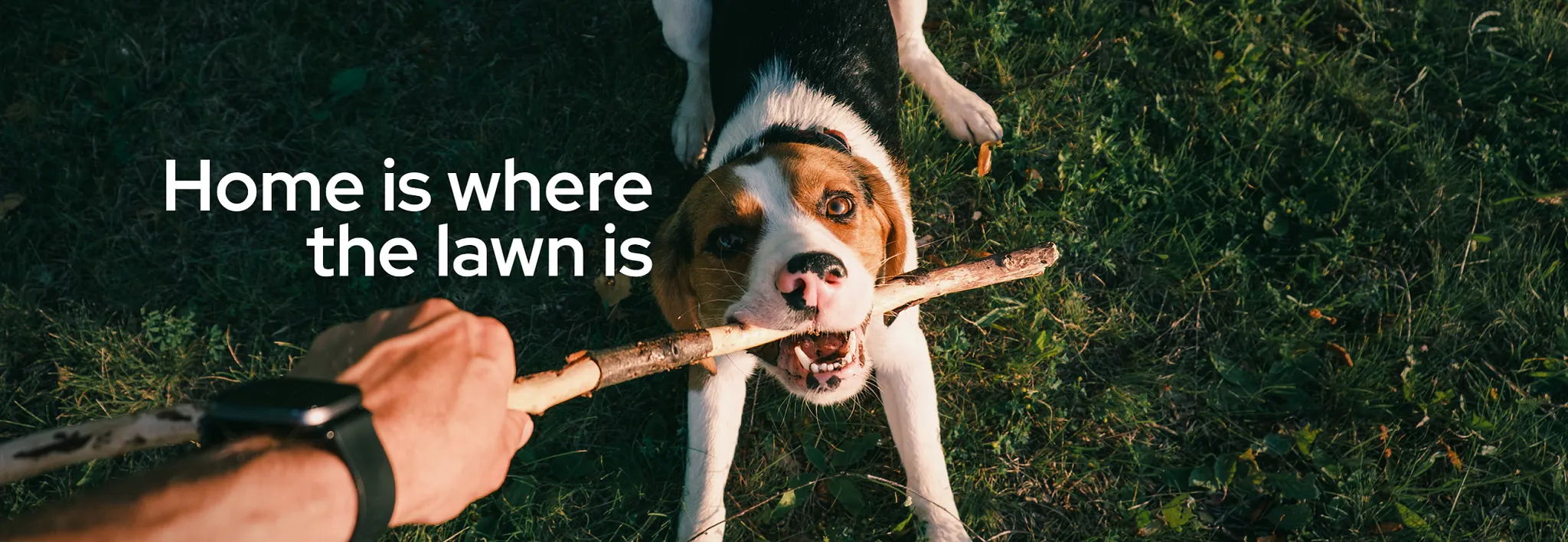 home is where the lawn is
