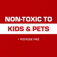 Tomcat Glue Traps Mouse Size with Eugenol for Enhanced Stickiness, 6 Traps image number null