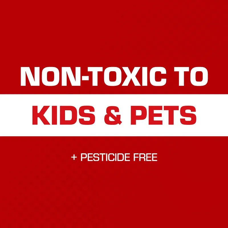 Tomcat Glue Traps Mouse Size with Eugenol for Enhanced Stickiness, 6 Traps image number 5.0