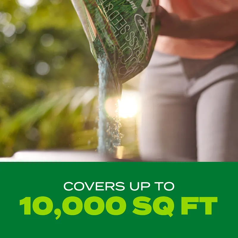Scotts&reg; Turf Builder&reg; Rapid Grass&trade; Bermudagrass image number 10.0