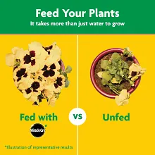 Miracle-Gro&reg; Water Soluble All Purpose Plant Food Image 8