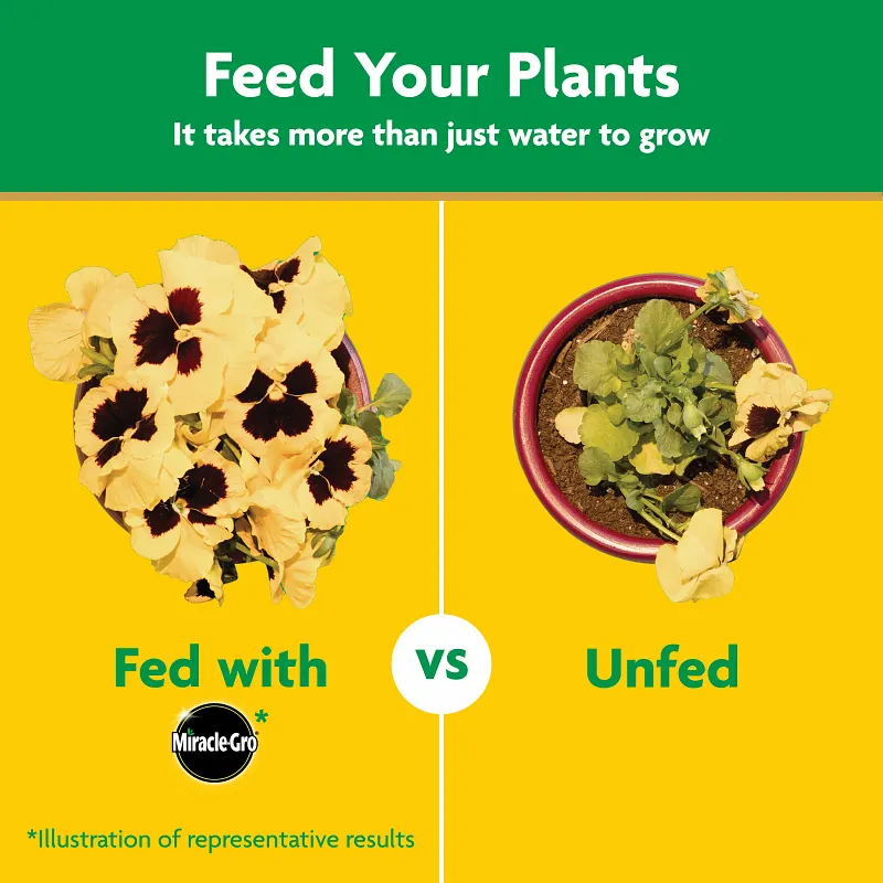 Miracle-Gro&reg; Water Soluble All Purpose Plant Food Image 8