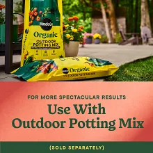 Miracle-Gro&reg; Shake 'N Feed&reg; Tomato, Fruit & Vegetable Plant Food image number null
