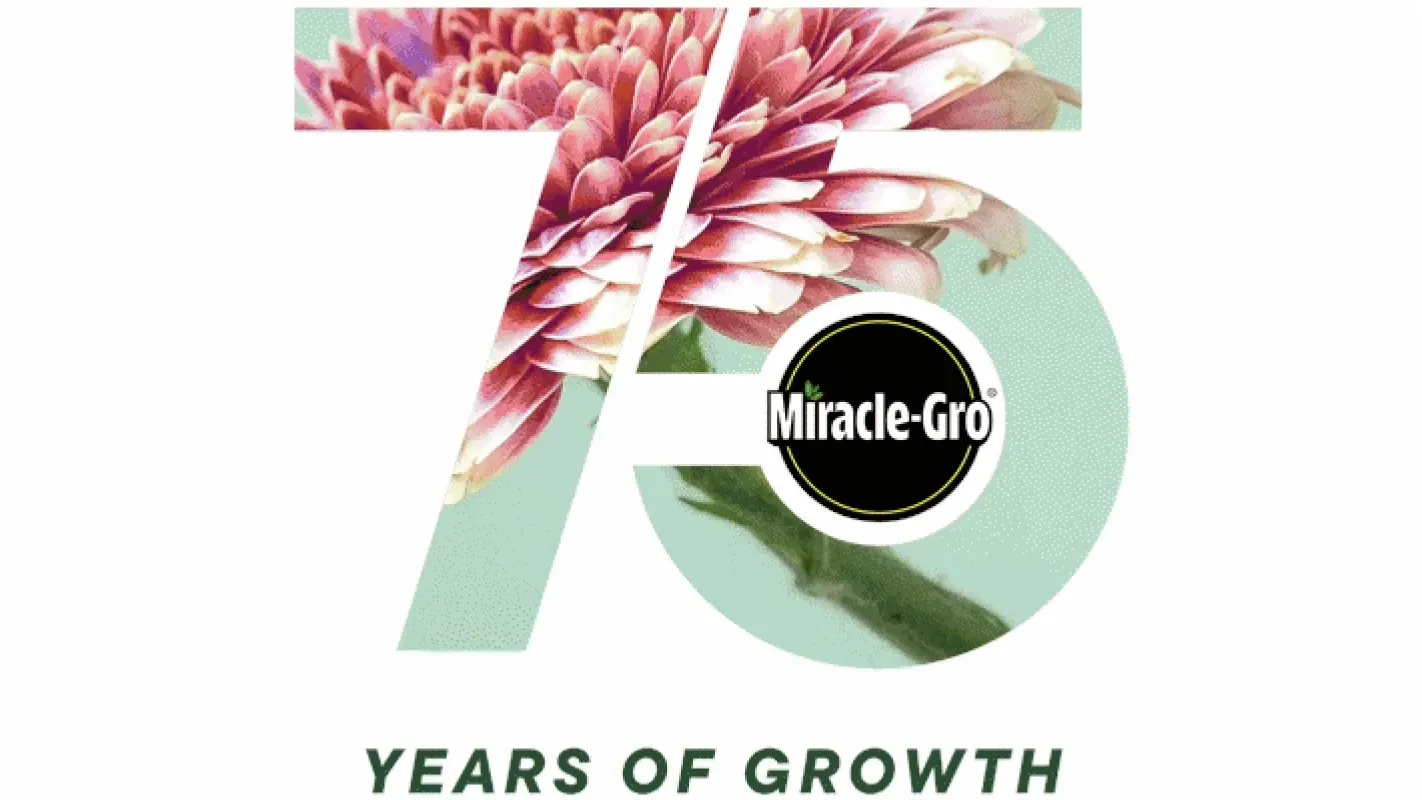 The number 75 that has a Flower as a graphic of the number and in the space of the circle the bottom of the 5 makes is the miracle-gro logo