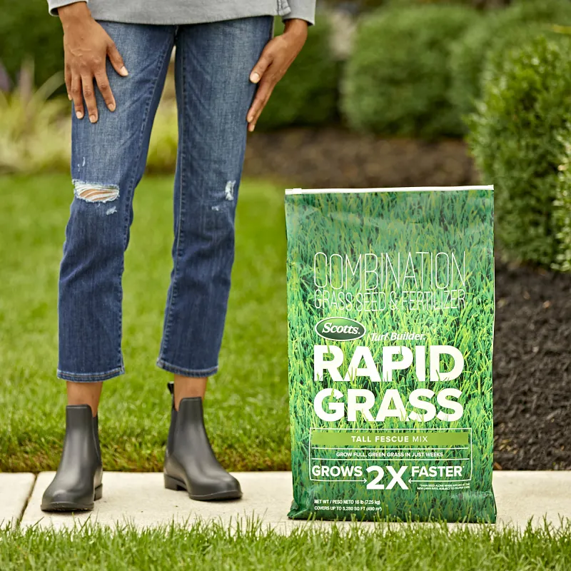 Scotts&reg; Turf Builder&reg; Rapid Grass Tall Fescue Mix Image 2