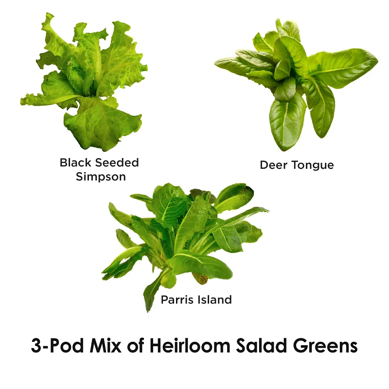 AeroGarden Heirloom Salad Greens Seed Pod Kit image number 3.0
