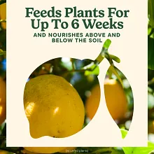 Miracle-Gro&reg; Citrus, Avocado, & Mango Food image number null