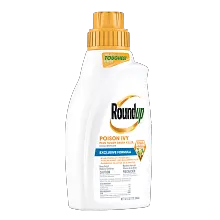 Roundup&reg; Poison Ivy Plus Tough Brush Killer₂ Concentrate image number null