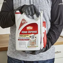 Ortho Home Defense Insect Killer for Indoor & Perimeter2 (with Comfort Wand) image number null