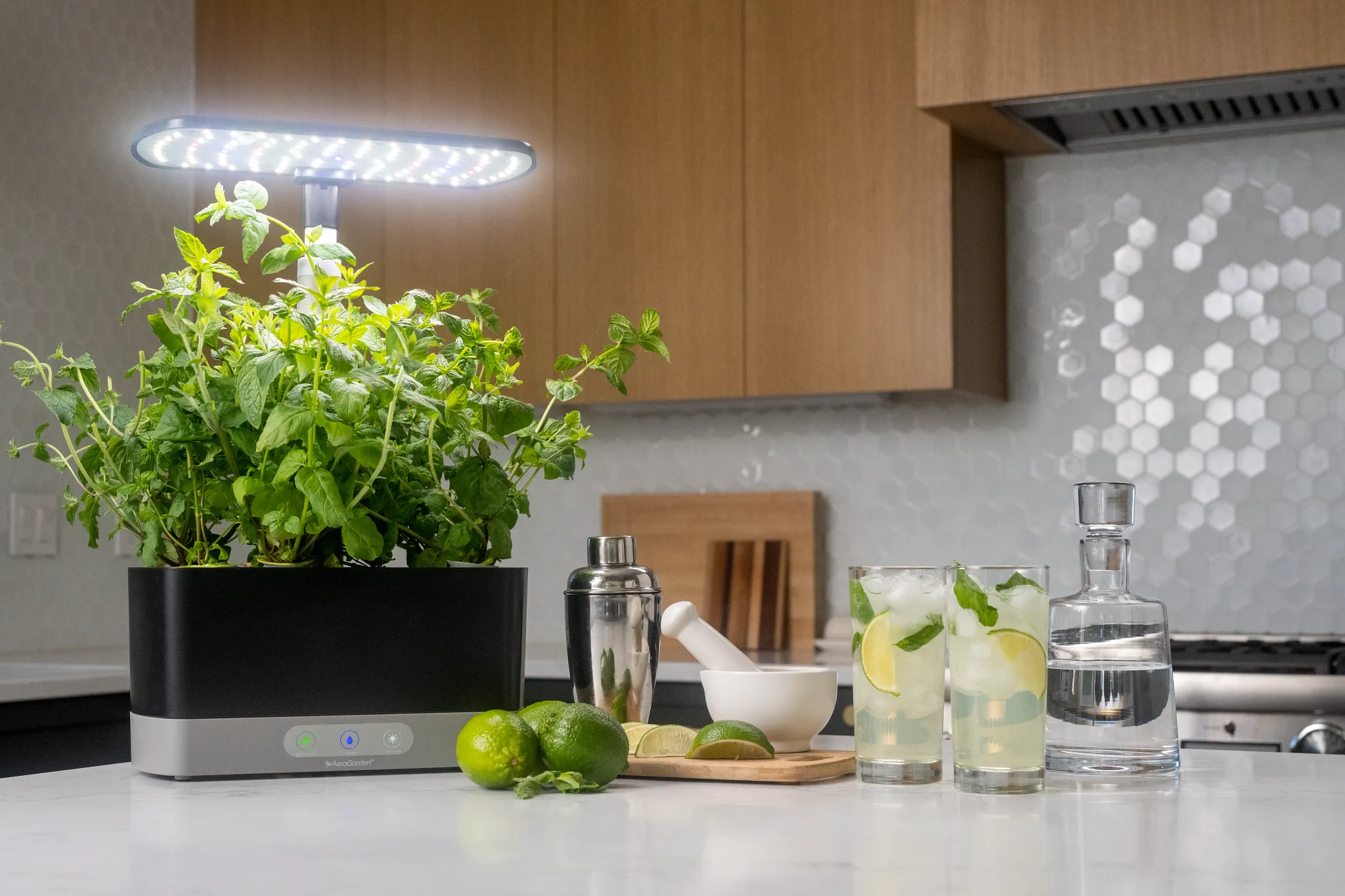AeroGarden unit sitting on a kitchen counter full of mint with mint flavored citrus cocktails sitting next to it 