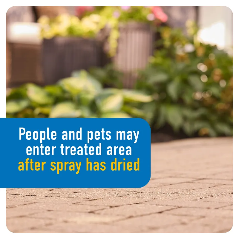 Roundup&reg; Dual Action Weed & Grass Killer Plus 4 Month Preventer with Sure Shot&trade; Wand image number 9.0