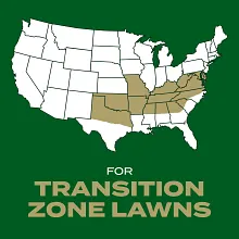 Scotts&reg; Turf Builder Rapid Grass&trade; Southern Gold&reg; Blend for Tall Fescue Lawns image number null