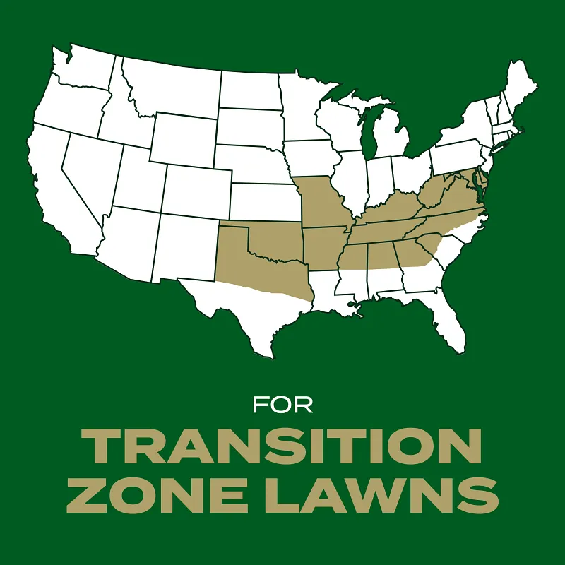 Scotts&reg; Turf Builder Rapid Grass&trade; Southern Gold&reg; Blend for Tall Fescue Lawns image number 4.0