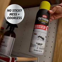 Ortho Orthene Ant & Roach Killer Aerosol image number null
