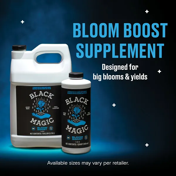 What your soil smells like when it's alive