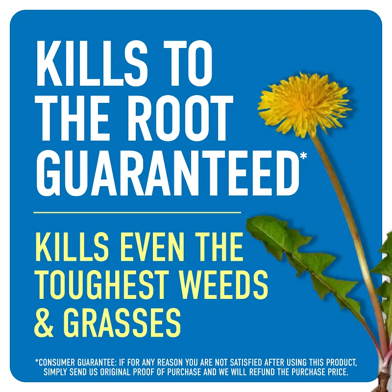 Roundup&reg; Weed & Grass Killer₄ Refill image number 2.0
