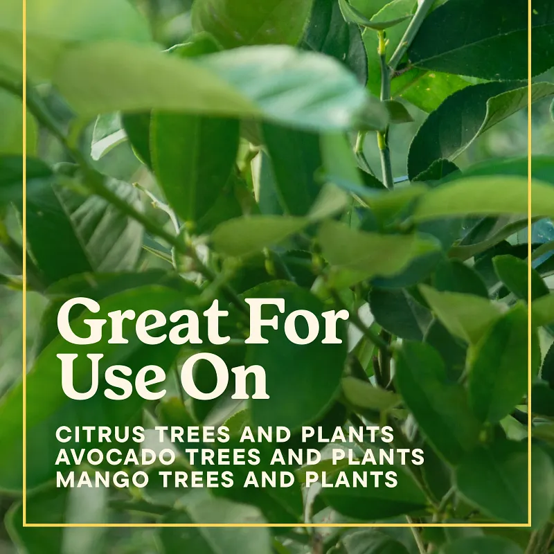 Miracle-Gro&reg; Citrus, Avocado, & Mango Food image number 9.0