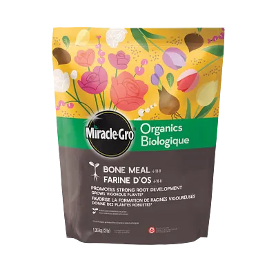 Farine d'os biologique