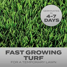 Scotts&reg; Turf Builder&reg; Grass Seed Quick Fix&reg; Mix image number null