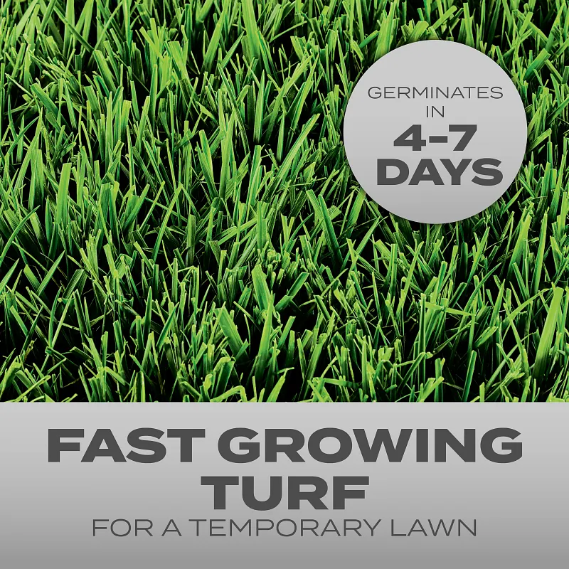 Scotts&reg; Turf Builder&reg; Grass Seed Quick Fix&reg; Mix image number 2.0