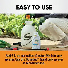 Roundup&reg; Poison Ivy Plus Tough Brush Killer₂ Concentrate image number null
