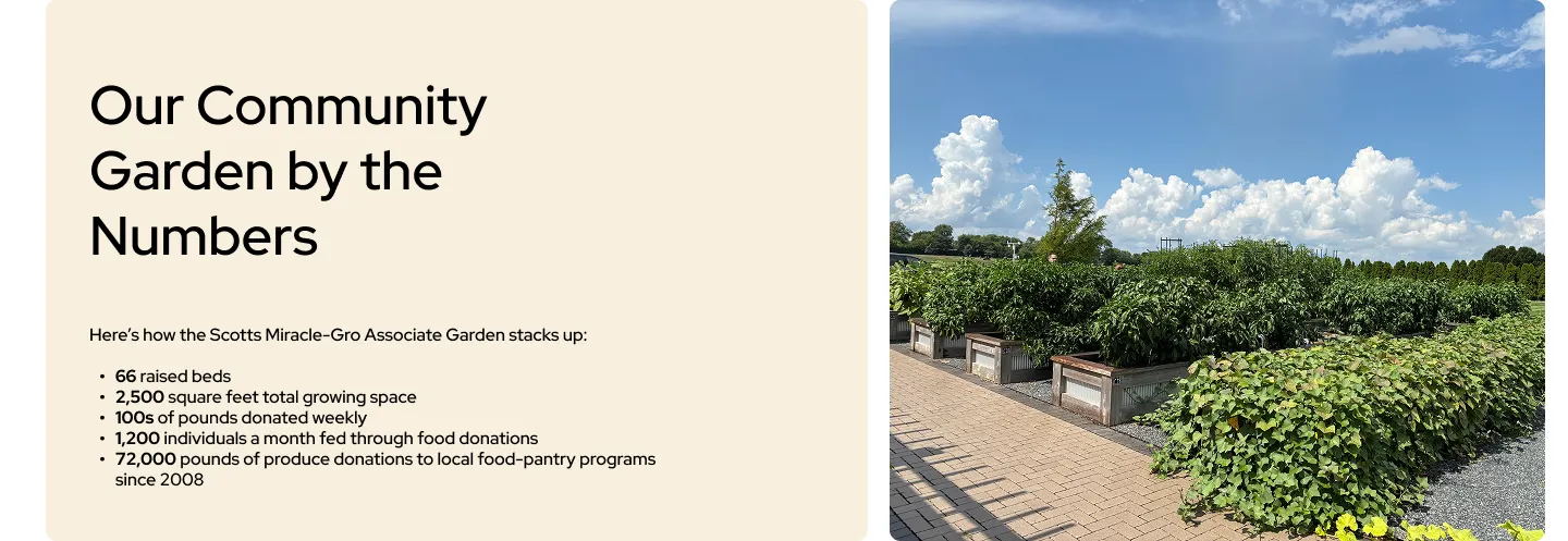 Our Community Garden by the numbers