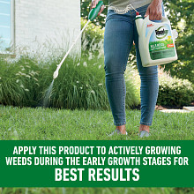 Roundup For Lawns₁ Ready-To-Use with Extend Wand image number null