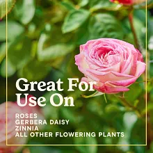 Miracle-Gro&reg; Shake 'N Feed Rose & Bloom Plant Food image number null
