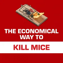 Tomcat Mouse Traps (Wooden), 4 Count image number null