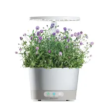 AeroGarden Lots of Lavender Seed Pod Kit image number null