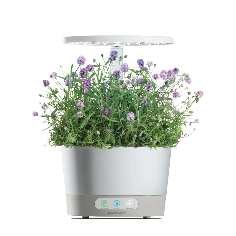 AeroGarden Lots of Lavender Seed Pod Kit image number 3.0