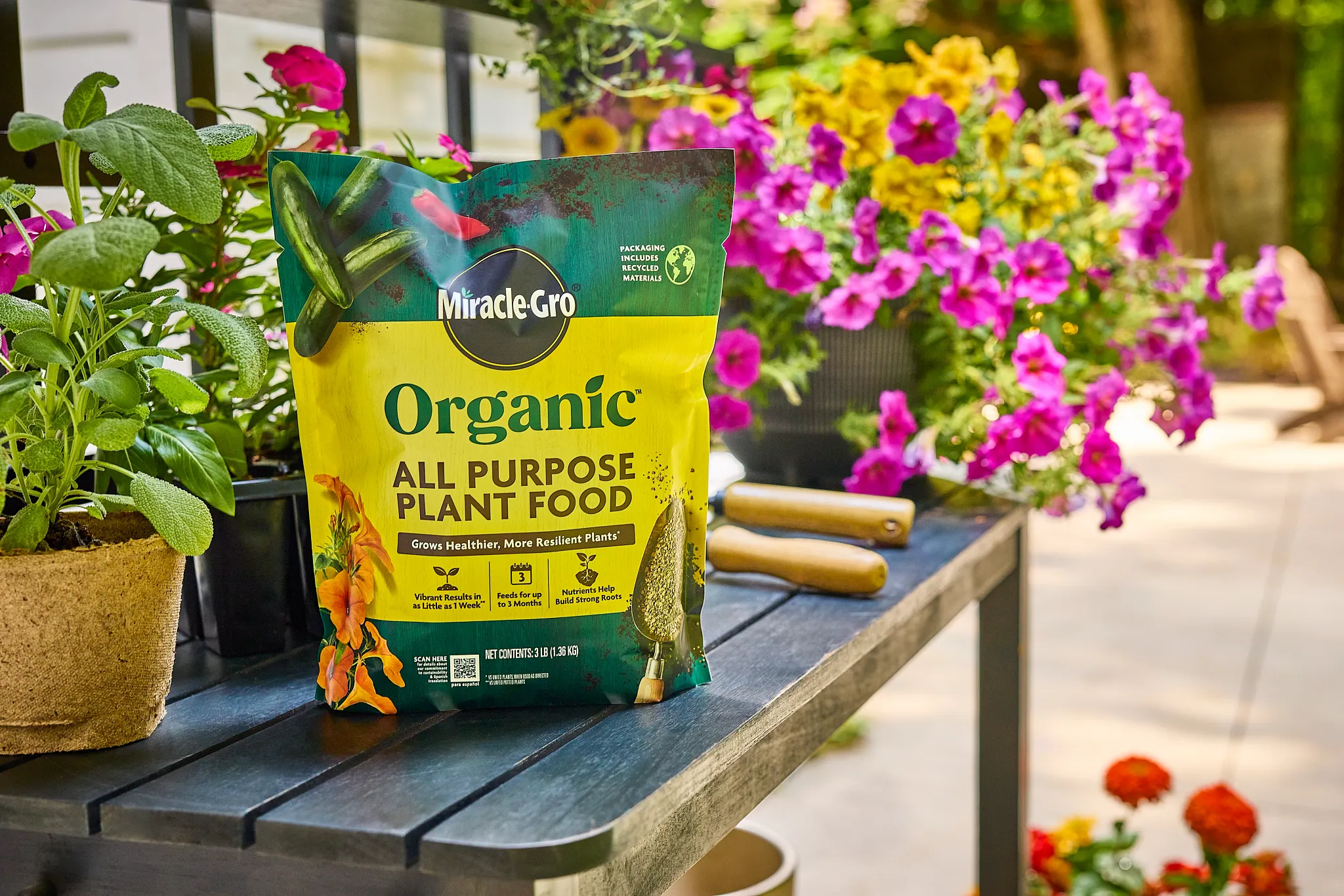 Bag of Miracle-Gro Organic All Purpose Plant Food sitting on a potting bench