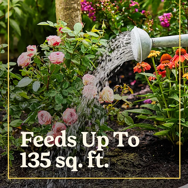 Miracle-Gro&reg; Shake 'N Feed Rose & Bloom Plant Food image number 3.0