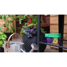 Organics Plant Food for Vegetables & Herbs image number null